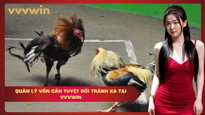 vvvwin Quản Lý Vốn Cần Tuyệt Đối Tránh Xa Tại VVVWIN