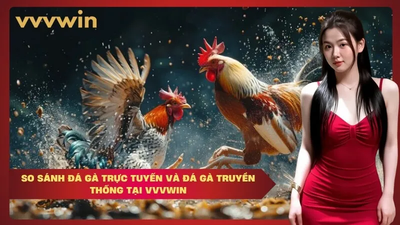 So sánh đá gà trực tuyến và đá gà truyền thống tại VVVWIN