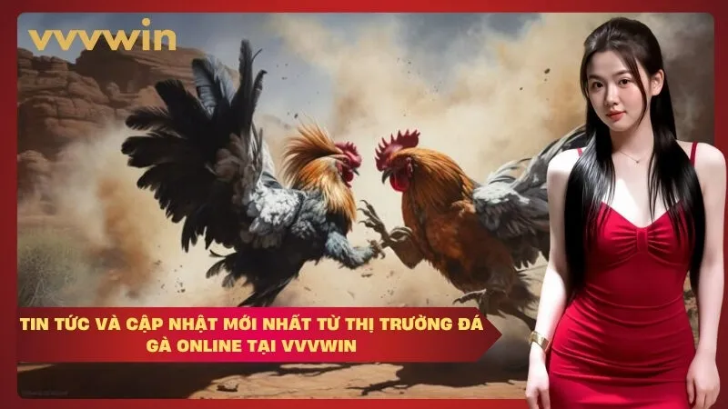 vvvwin Tin tức và cập nhật mới nhất từ thị trường đá gà online tại VVVWIN